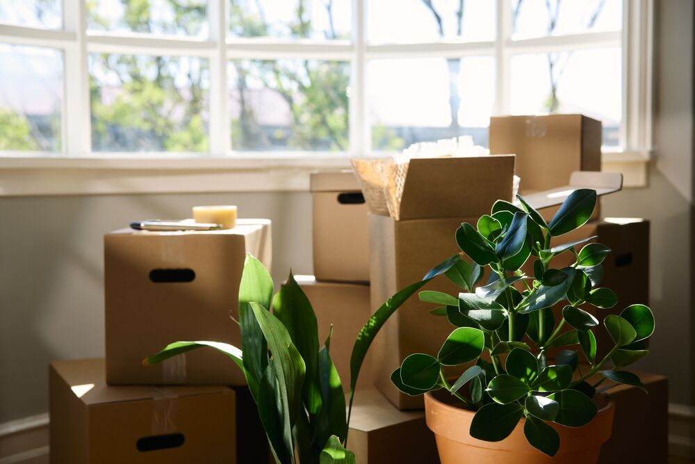 Nýtt framboð íbúðalána Arion banka - mynd