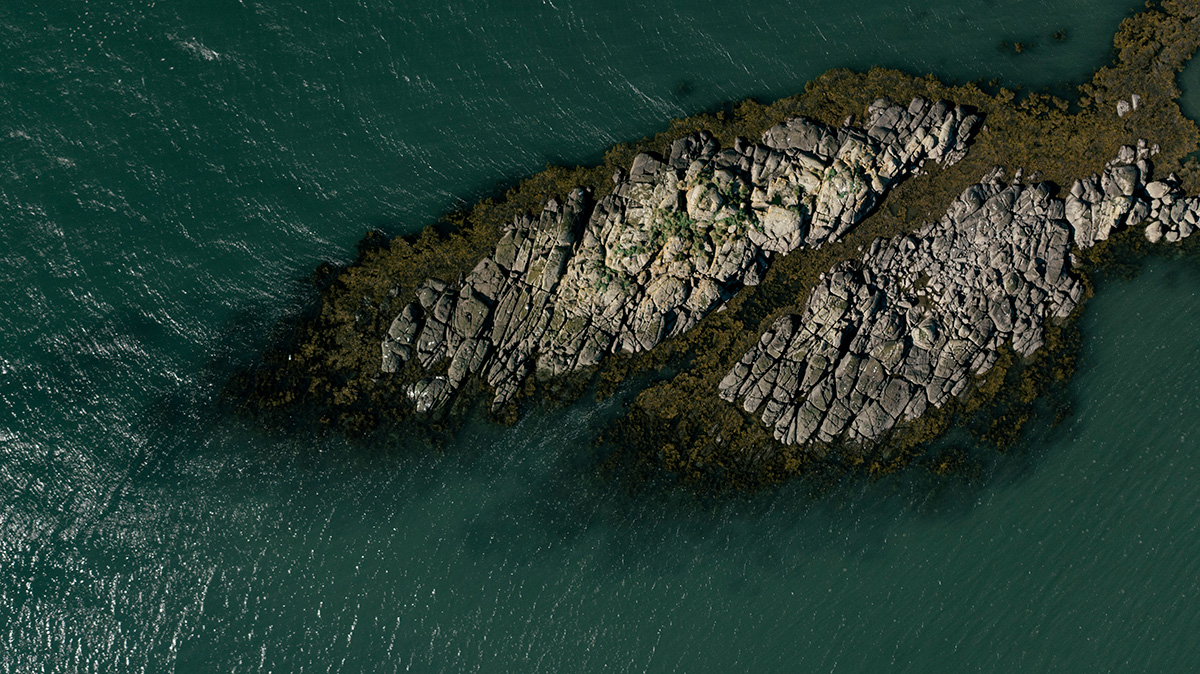 Frelsi til að velja - mynd