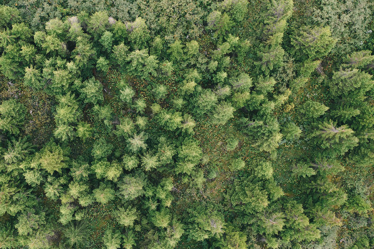 Mótun fjárfestingarstefnu lífeyrissjóðs - mynd