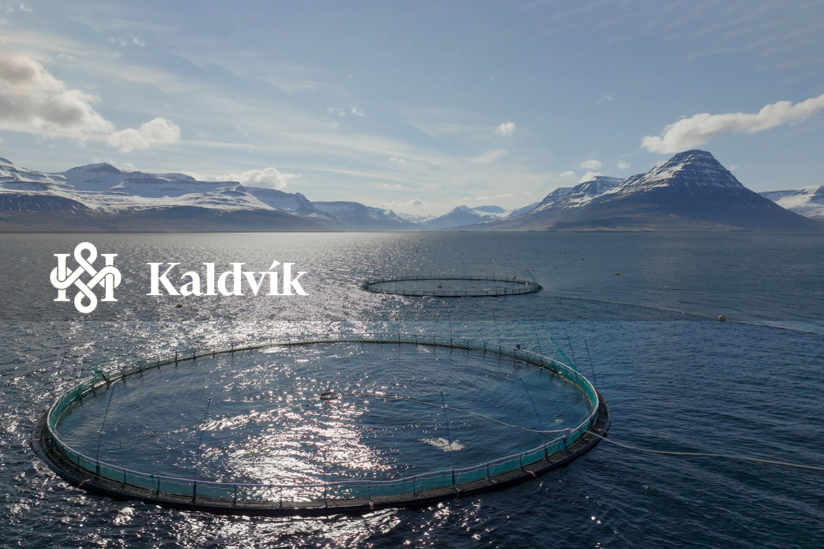 Kaldvík lýkur 6,6 milljarða króna hlutafjáraukningu - mynd