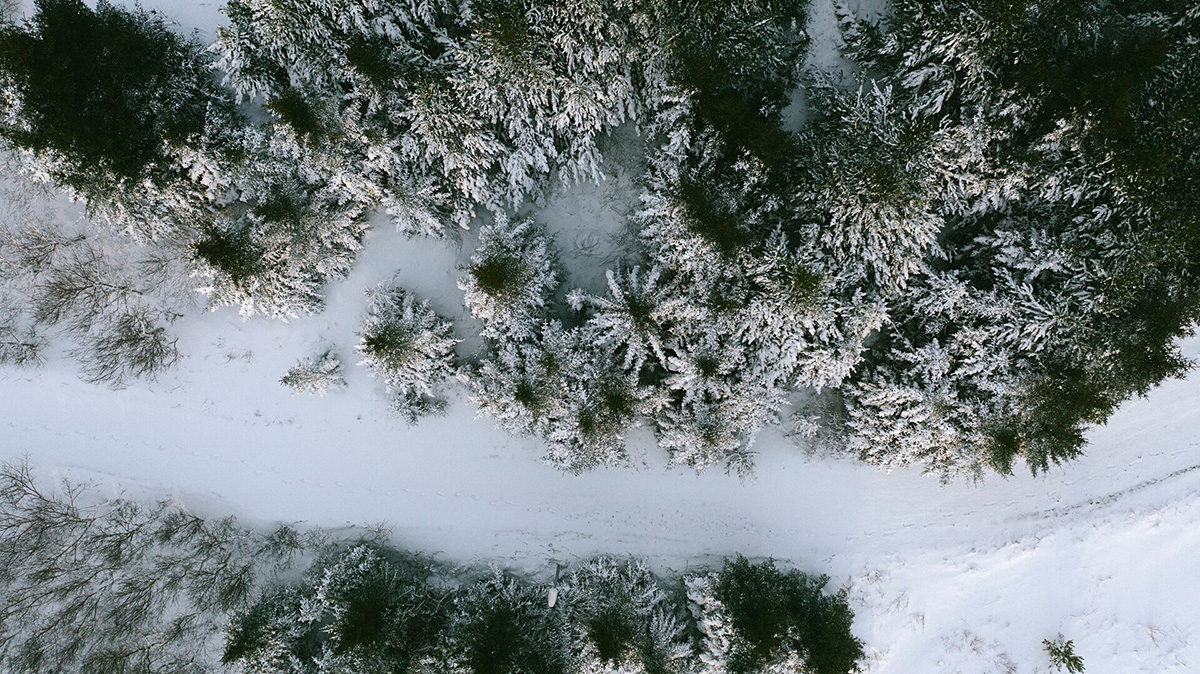 Velheppnaður morgunfundur Arion um sjálfbærni - mynd